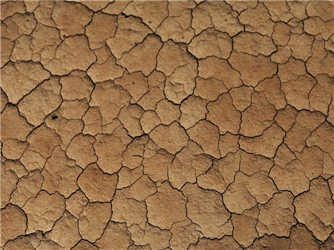 上海離婚律師:辦理離婚需要哪些材料