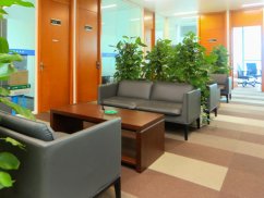 上海嘉定律所地址