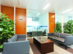 上海楊浦律所地址