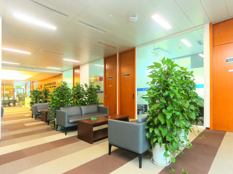 松江刑事律師事務(wù)所律師講述適用監(jiān)外執(zhí)行的條件 松江刑事律師事務(wù)所律師講述適用監(jiān)外執(zhí)行的條件